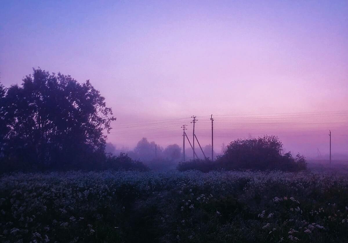 CBA-奎因30+6+9焦泊乔6中6 广东力克深圳
